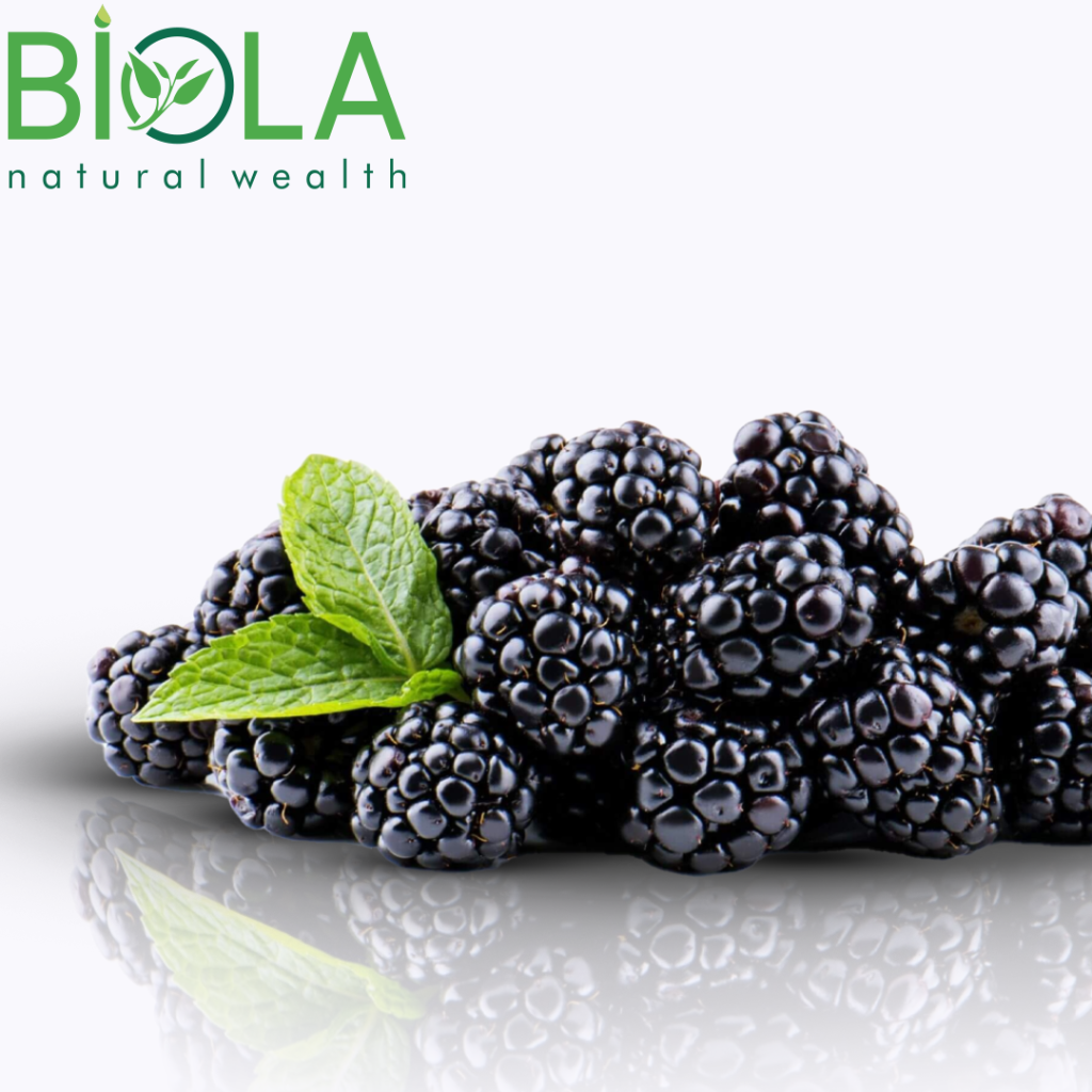 Böyürtkən (Rubus fruticosus)