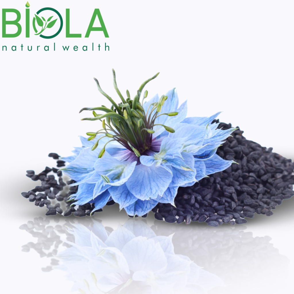 Black Cumin (Nigella)