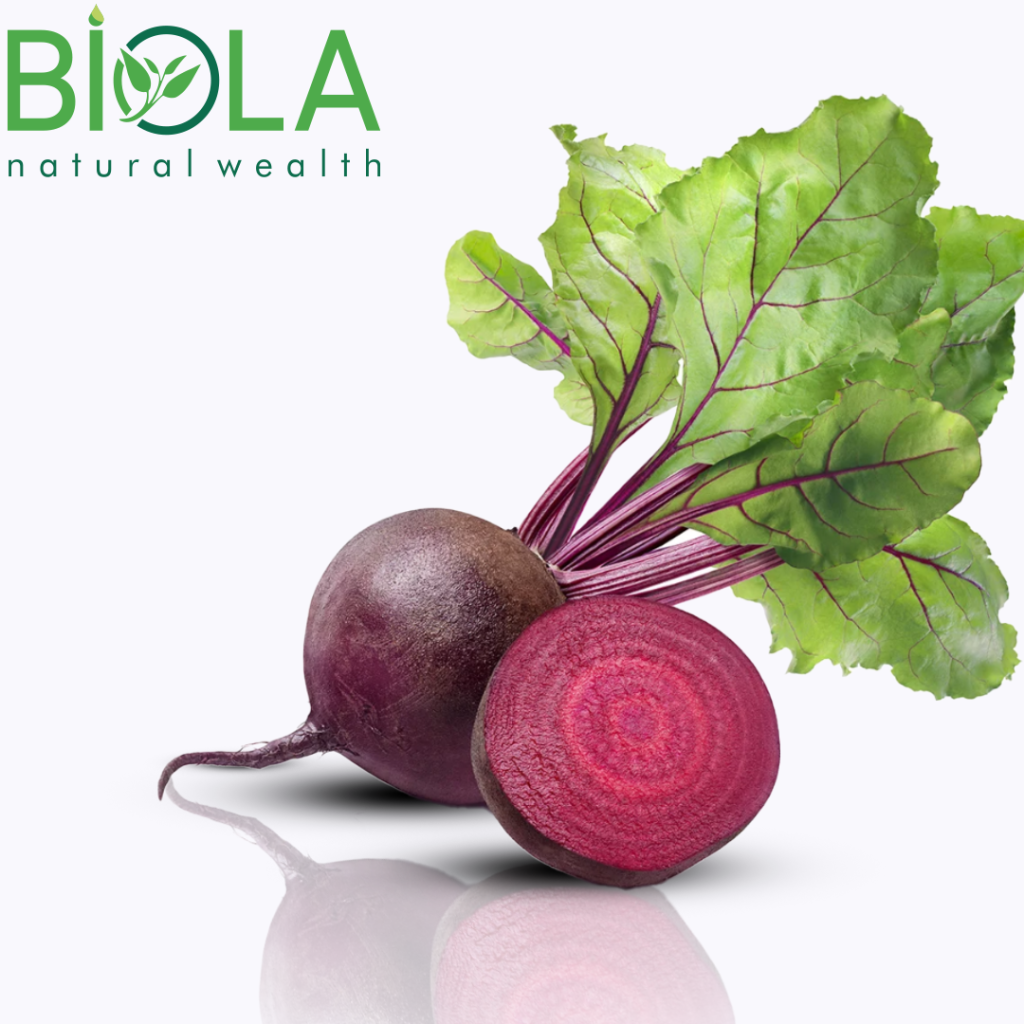 Çuğundur (Beta vulgaris)