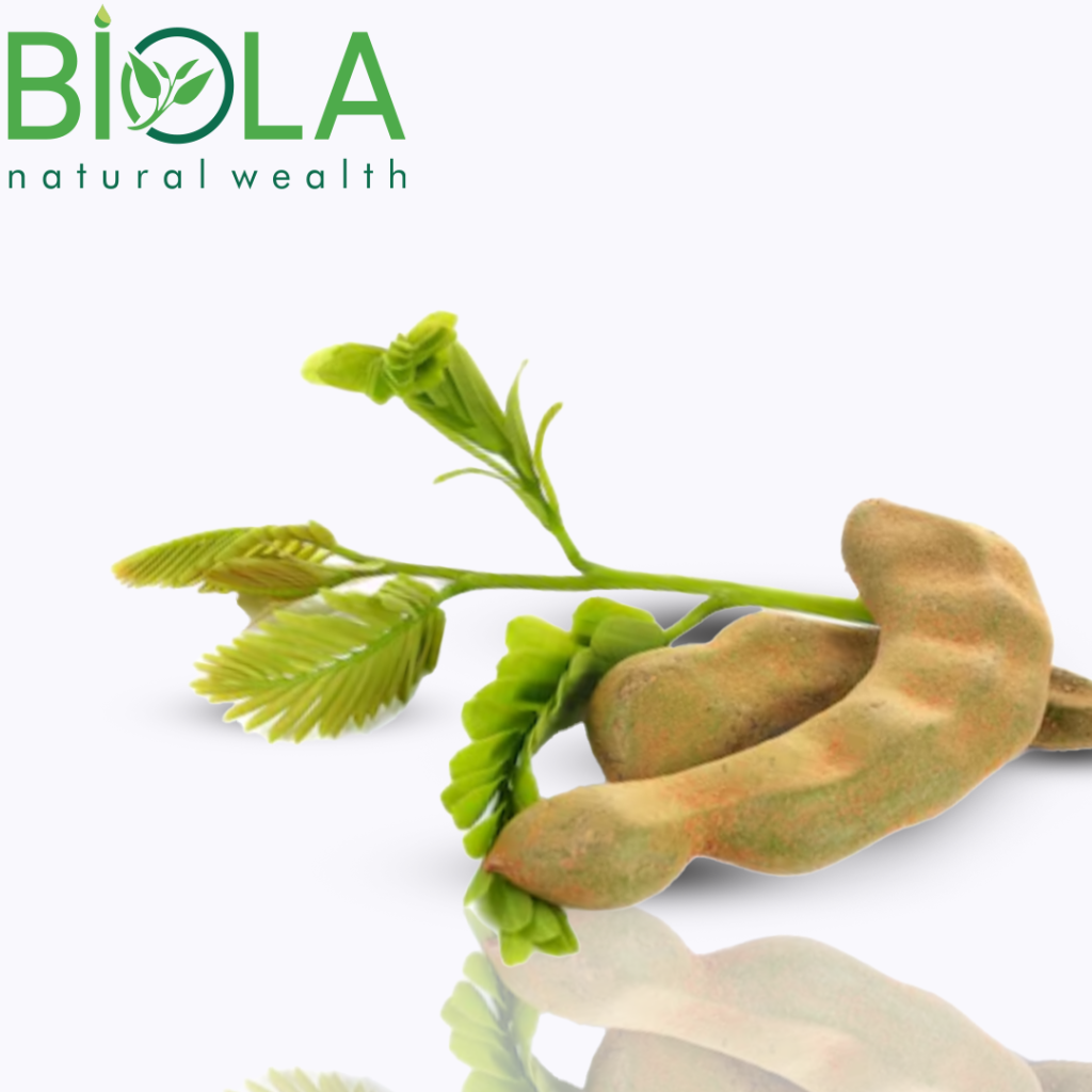 Верблюжья колючка