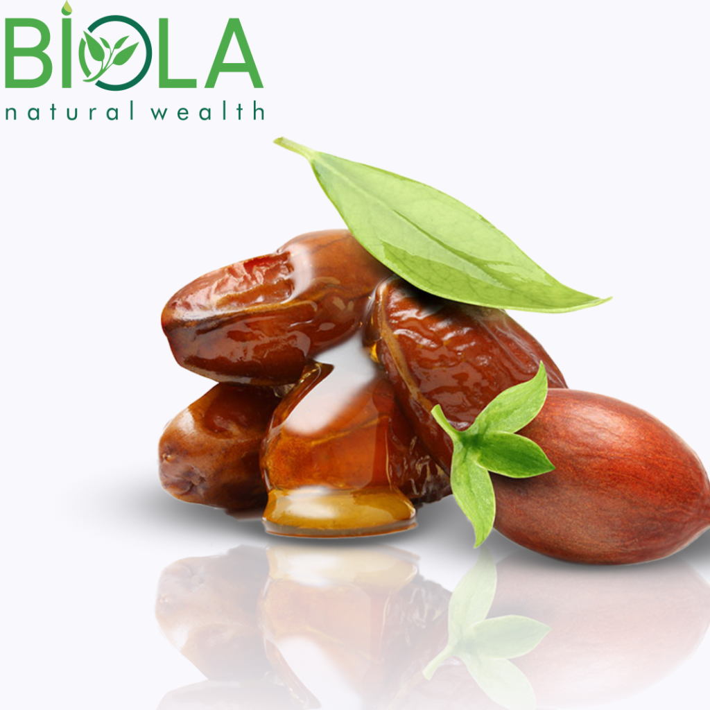 Jojoba (Simmondsia chinensis)