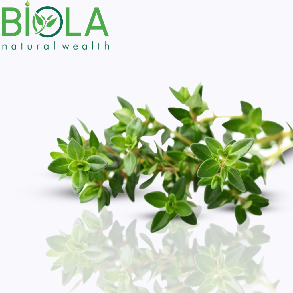 Thyme