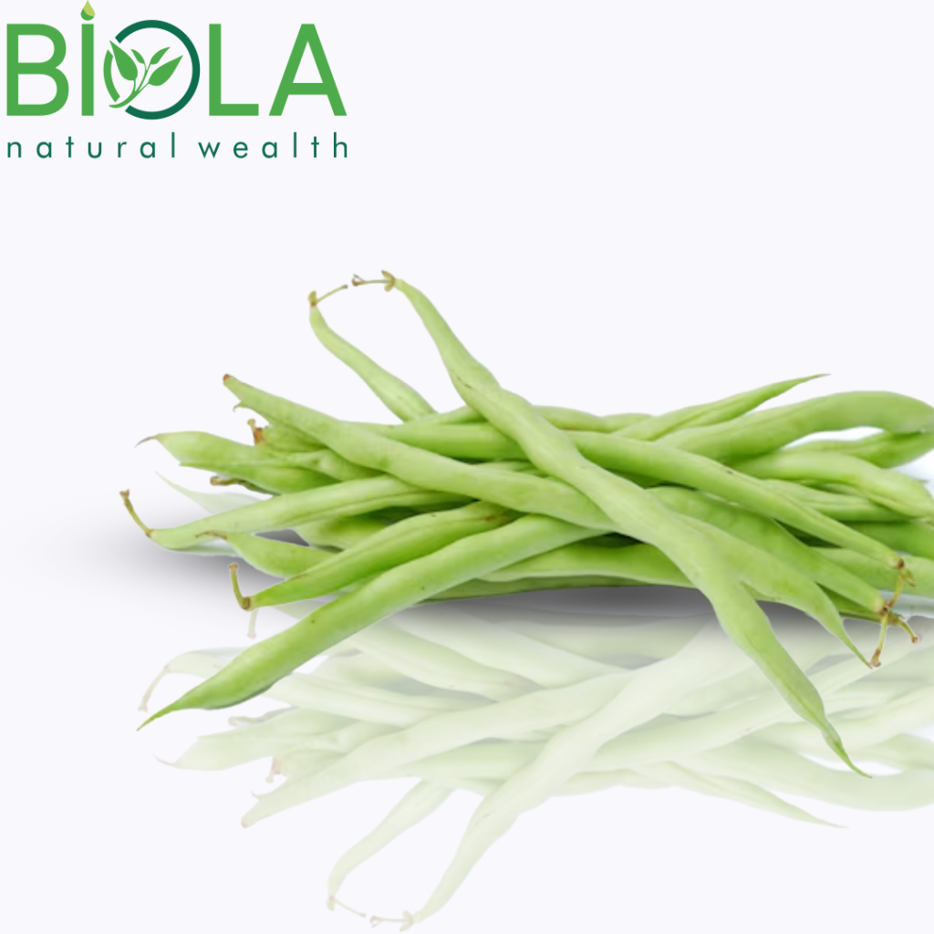 Lobya (Phaseolus vulgaris)