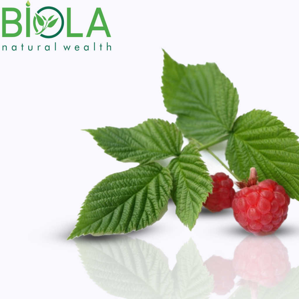 Raspberry Leaf