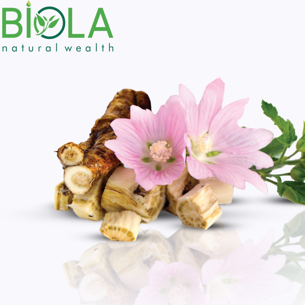 Pərpətöyün (Althaea officinalis)