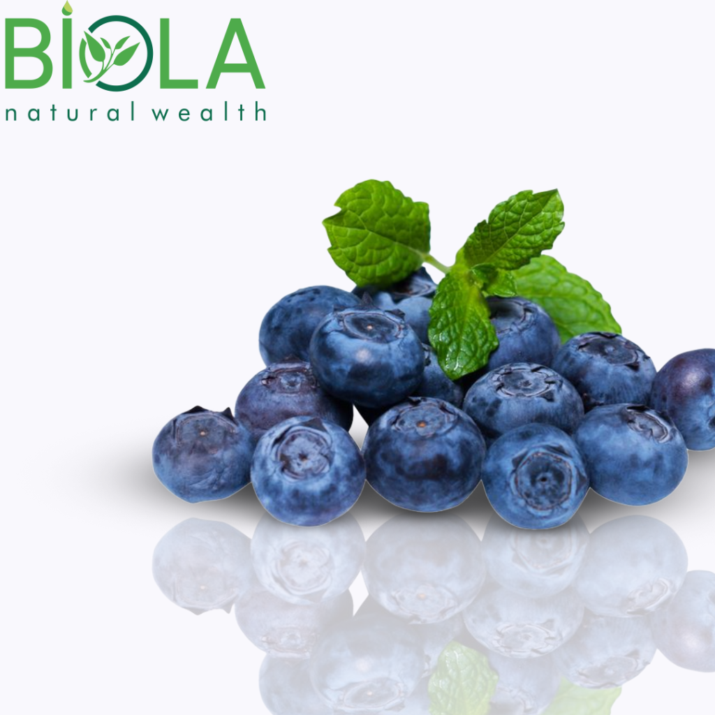 Qaragilə (Vaccinium myrtillus)