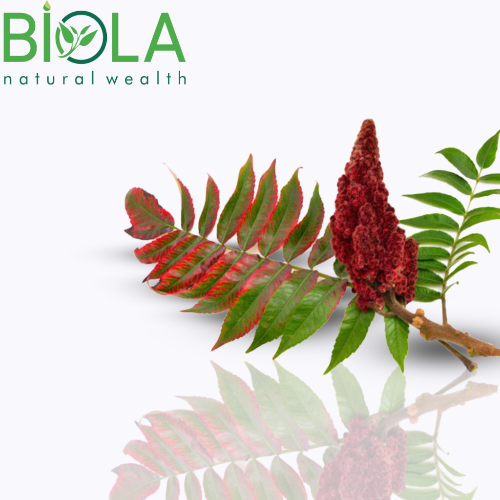 Sumaq (Rhus coriaria)