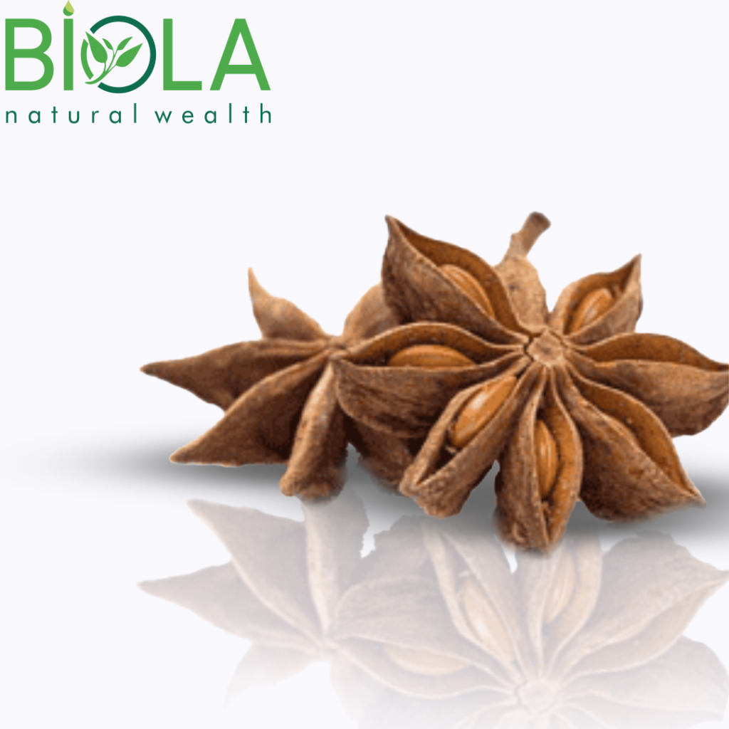 Ulduz anis (Illicium verum)