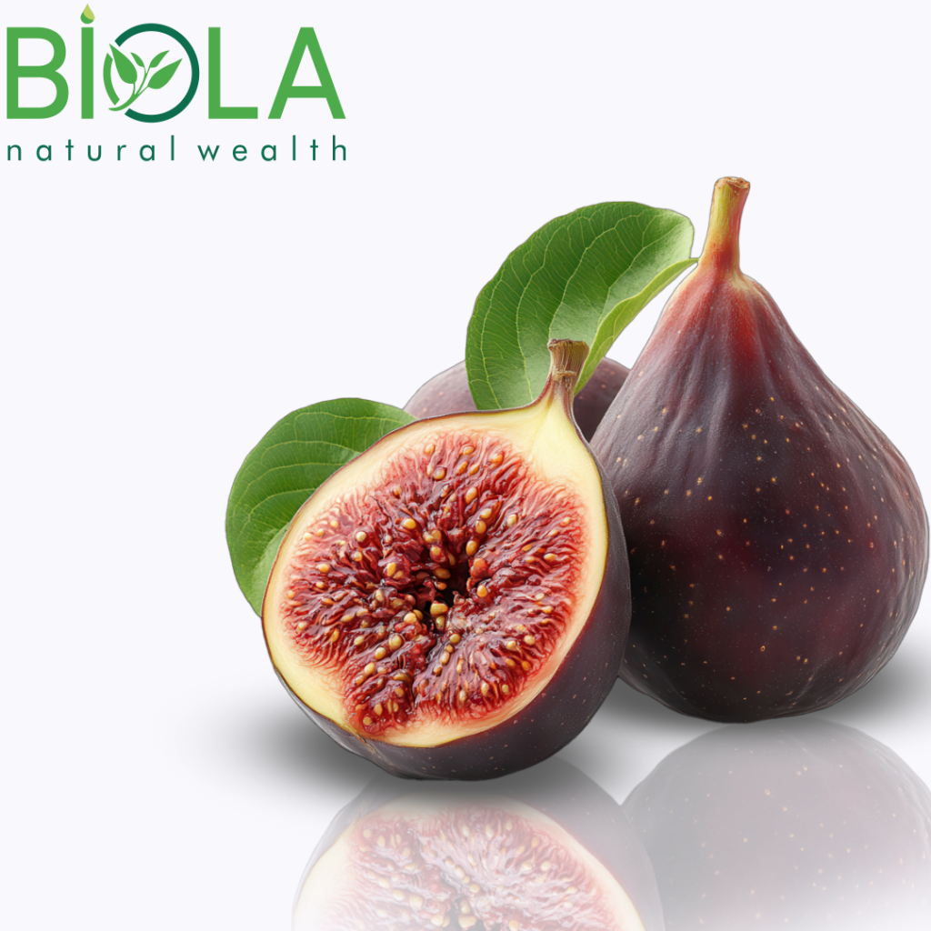 Fig