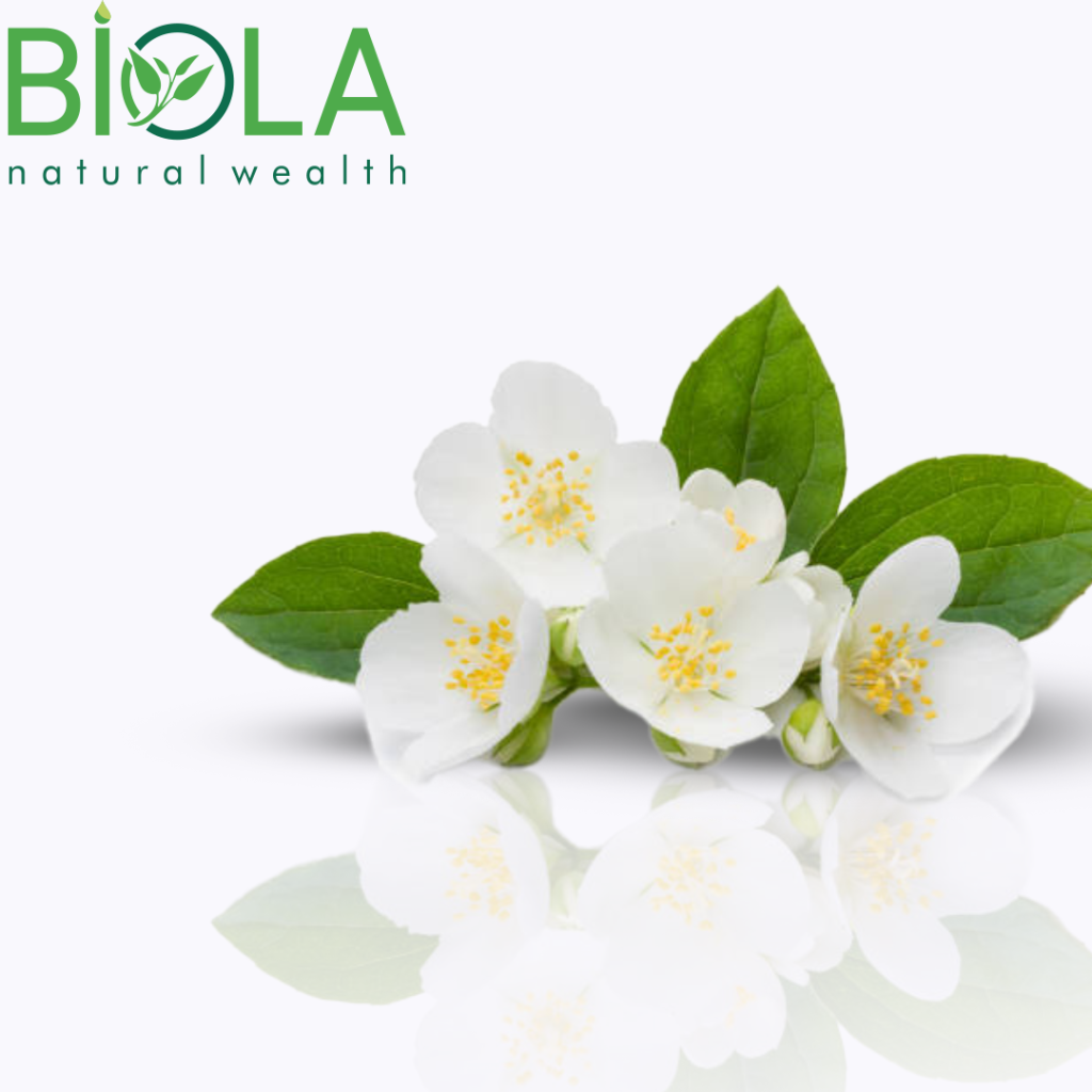 Зелёный чай