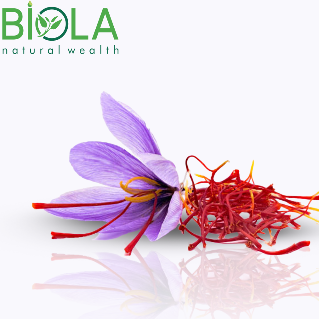 Zəfəran (Crocus sativus)